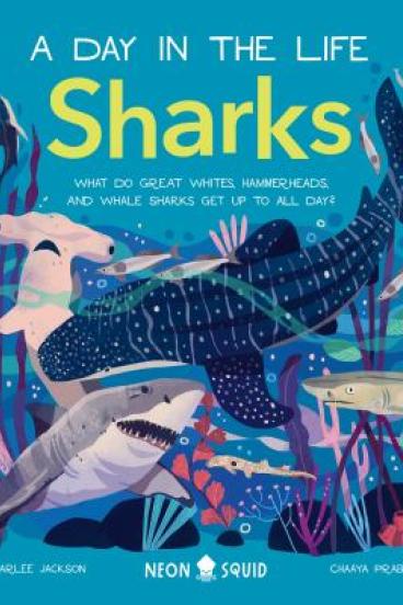 Sharks by Carlee Jackson