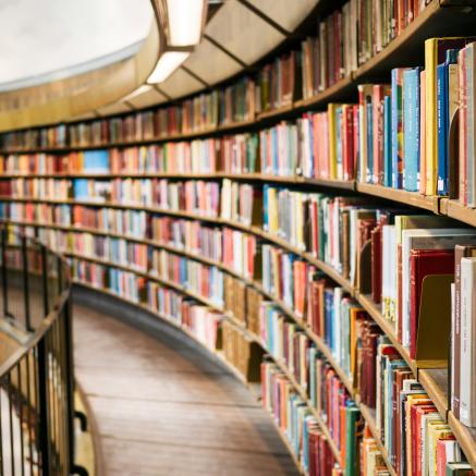 A view of curved bookshelves.