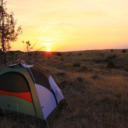 Tent on a field at sunset