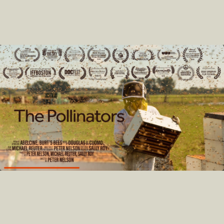 Pollinator documentary thumbnail, highlighting the many awards this film has one over a photograph of a beekeeper.