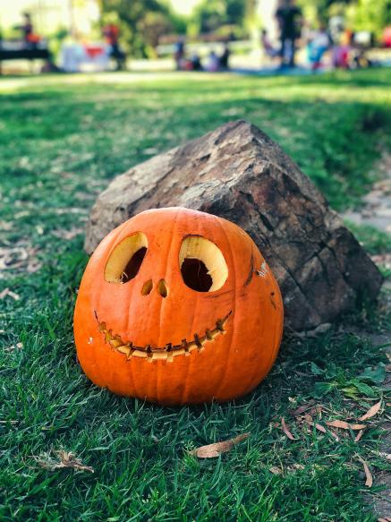 A jack-o-lantern carved like Jack Skellington sits in green grass against a rock