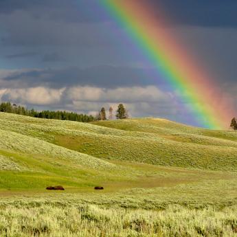 Rainbow over Yellowstone National Park.