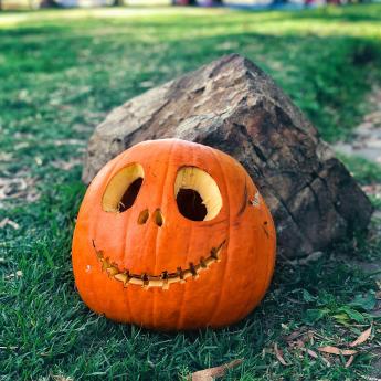 A jack-o-lantern carved like Jack Skellington sits in green grass against a rock