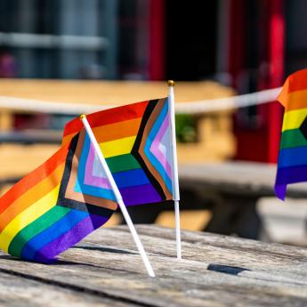 Three miniture inclusive (LGBTQ) flags on a picnic table.